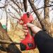 Electric Pruning Shears Garden 25Mm Branch Cutter Electric Cordless with 2 Rechargeable Lithium Battery Garden Fruit Tree Bushes Trimmer Small Gift - Buy Online on GoSupps.com