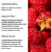 Aphoric Mile EU Mint Essential Oil 10ml - Soothes Itching & Boosts Spirit | Therapeutic Raspberry Quality - Buy Online on GoSupps.com