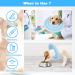 Sbayool Blue L Soft Adjustable Dog Donut Cone Collar for Post-Surgery Recovery - Anti-Licking & Comfortable - Buy Online on GoSupps.com