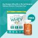 Designer Wellness Vitamin C Gummies - Gluten-Free Vegan Non-GMO - Natural Orange Flavor - 60 ct - Buy Online on GoSupps.com