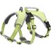 BELPRO Multi-Purpose Dog Harness Escape Proof No Pull Reflective Adjustable Vest with Durable Handle Dog Harness for Large/Active Dogs(Green L) L (1 Pack) Green