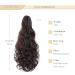Shop Gairyan 50cm Long Curly Claw Clip Ponytail Extensions - Dark Brown & Dark Chestnut Synthetic Hair for Women - Buy Online on GoSupps.com