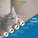 Juvenia Cats Resveratrol Pet Supplement - Anti Aging Antioxidant Gel for Senior Cats - Immune Support, Healthy Aging, Joint and Bone Strength - 8 oz - Buy Online on GoSupps.com