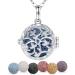 Eudora harmony ball aromatherapy chain women aroma diffusion necklace women aroma oil diffuse charm trailer yoga meditation jewelry gifts for mother lavaestein pearl chain 7pcs 24 "03 tree of life
