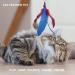 Cat Fishing Rod Toy Cat Feather Toys With Retractable Teaser Interactive Cat Wand Toys Flirt Pole Cat Toys for Indoor Cats Adult Kitten for Play Exercise Activity & Fun 8 Pcs Replacement Refills - Buy Online on GoSupps.com