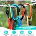 10-Pack Carabiner Keychain Set - Screw Cap Aluminum Hooks - 60kg Load Capacity for Work Fitness Camping & Travel - Buy Online on GoSupps.com