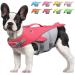 Vivaglory Dog fuel for small and medium-sized dogs easy to take off and undress sporty dog swimming vest with adjustable nylongurten neon-rosa s: 48-58 cm (ribcage girth) neon-rosa