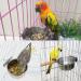 Zliger Stainless Steel Bird Bowl Set - 4 Feeding Cups for Parrots & Birds | Durable Food & Water Bowls - Buy Online on GoSupps.com