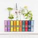 Provence Sante Eau de Toilette Spray - Luxury Long-Lasting Fragrance - Jasmine Scent - Elegant Perfume Gift - Made in France - 3.5 Oz - Buy Online on GoSupps.com