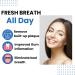 Buy Interdental Brushes & Dental Tools for Effective Plaque Removal | Braces-Friendly Floss Picks - Pack of 8 - Buy Online on GoSupps.com