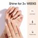 Gellen Pearl Gel Nail Polish Set - 6 Pearlescent Shell Colors | Shimmer Mermaid Gel for Salon & DIY - Buy Online on GoSupps.com