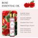 Aoruilia 10ml Rose Essential Oil - Premium Grade Natural Rose Oil Aromatherapy Essential Oils for Diffuser for Home Fragrance Perfume Bath Soaps & Candles Making Rose 10 ml (Pack of 1) - Buy Online on GoSupps.com