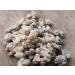 Encens Salai guggal de l'Inde Boswellia Serrata 1. QUALIT 50 g - Buy Online on GoSupps.com