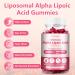 2 Pack Liposomal Alpha Lipoic Acid Gummies 2000mg Gummies High Potency ALA Complex Biotin & Benfotiamine for Antioxidant Brain Health and Nerve* Support Liposomal Enhance 98% Absorption 60 Count (Pack of 2) - Buy Online on GoSupps.com