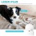 PAPIFEED 1080P Pet Camera Indoor Security Cam | 5Ghz WiFi | Two-Way Audio | Night Vision | Motion Detection | Alexa & Google Assistant Compatible - Buy Online on GoSupps.com