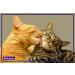 FELIWAY Friends Diffuser Refill (FELIWAY MultiCat) - Use with FELIWAY Cat Diffusers - Helps Reduce Fighting Tension and Conflicts Between Cats in The Home (30 Day Supply FELIWAY Refill D894) - Buy Online on GoSupps.com