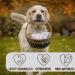Petlove Meat Softies for Dogs - Grain-Free 63% Salmon Dog Treats | Ideal for Training | 200g - Buy Online on GoSupps.com