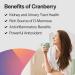 PureFormulas Cranberry 500 mg - Supports Kidney and Urinary Tract Health - Antioxidant Supplement for Immune Protection and Cellular Health - Cranberry Pills for Women & Men - Non-GMO - 60 Capsules 60 Count (Pack of 1) - Buy Online on GoSupps.com