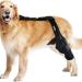 MYCENSE Dog Knee Brace Pet Knee Pads Supportive Protecting Knee Support Adjustable Belt Elbow Protective Pad for Sprain Protection S 11.9 to 22.6cm - Buy Online on GoSupps.com