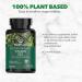 PlantFusion Vegan Vitamin D3 2000IU | Organic Vitashine Plant Based Lichen | Immune & Bone Health | 60 Tablets - Buy Online on GoSupps.com