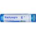 Staphysagria 6C - Homeopathic Medicine to Promote Healing of Surgical Wounds (80 Pellets)