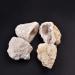 Natural Crystal Rough Unopened Natural Agate Geode Raw Crystals Lucky Cluster Cave Collection 4-6 cm White-yellow - Buy Online on GoSupps.com