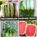 UKCOCO 2pcs Tool Vegetables Garden Shaping Molds Fruit Shaping Mould Pumpkin Ginseng Fruit Cucumber 15x15cmx2pcs Transparentx2pcs - Buy Online on GoSupps.com