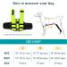NAMSAN Small Dog Life Jacket | Inflatable Vest with Reflective Stripe & Safety Handle | Adjustable Buoyancy Aid | Puppy Flotation Jacket in Green-S - Buy Online on GoSupps.com