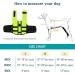 NAMSAN Dog Life Jackets - Portable Inflatable Life Jacket for Small Medium & Large Dogs - Green-M M Green - Buy Now! - Buy Online on GoSupps.com