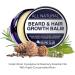 Bart and Hair Growth Balm with Biotin - Cedar Wood Eucalyptus & Rosemary Fragrance - Optimal Solution for Uneven Beard - Buy Online on GoSupps.com