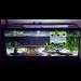 Large Fish Breeder Net with Suction Cups - Nylon Mesh Hatchery Isolation Box for Aquarium Tank - Buy Online on GoSupps.com
