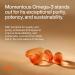 Momentous Omega-3 Fish Oil - High-Potency EPA & DHA Supplement for Men & Women - Supports Heart, Joint, & Brain Health - NSF Certified for Sport - Non-GMO - Gluten-Free - 1,600 mg - 30 Servings - Buy Online on GoSupps.com