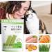 Shenrongtong Cat Grass Sticks - Dental Care & Hair Removal Treats for Cats | 4 Pieces - Buy Online on GoSupps.com