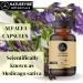 Naturevibe Botanicals Alfalfa Capsules - 180 Veg Capsules | 1000mg/Serving | Pure Herb Powder - Buy Online on GoSupps.com