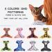Supet Cat Dishes & Line Set - Stylish Crockery for Feline Friends | International Shipping Available - Buy Online on GoSupps.com