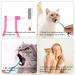 Wheeleroa Cat Toothbrush Set - 2 Double-Sided Brushes for Deep Cleaning Kittens & Cats | Microba Head & Curved Handle | Green & Pink Accessories - Buy Online on GoSupps.com