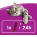 Buy Whiskas Sticks Rich in Salmon - 14 x 6 Pieces | Premium Cat Treats for International Shipping - Buy Online on GoSupps.com