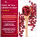 Potent Garden Urinary Support Supplements - Bladder & Urinary Tract Health for Women & Men - 60 Ct - Cranberry, Probiotics, Prebiotics - Daily Care - Buy Online on GoSupps.com