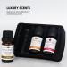 LOXIM Discovery Collection Essential Oil Set - 3 Fragrance Oils for Aromatherapy | 100% Pure Natural Scents - Santal Sparkle Rose Sugar Citrus Pop - Buy Online on GoSupps.com