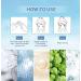 Birch Juice Moisturizing Sun Cream Organic Sunscreen SPF50 Skincare Sunscreen Strong UV Protection No White Cast Moist Essence Type-50ml (A) - Buy Online on GoSupps.com