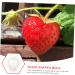 POPETPOP 10 Pcs Fruit Shaping Fruit Plastic Fruit Watermelon White Gardening Supplies 4.5x4cmx2pcs Whitex2pcs - Buy Online on GoSupps.com