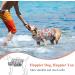 Vivaglory Ripstop Dog Rescue Vest - Buoyant & Visible Small/Medium Life Jacket for Dogs - Flower Orange (Chest 43-53cm) - Buy Online on GoSupps.com
