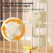 Quotent Automatic Bird Water Bottle - 200ml Dispenser for Parrots Budgies & Small Pets - Easy Fill Watering Solution for Bird Cages - Beige - Buy Online on GoSupps.com