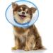 Vivifying Adjustable Pet Collar for Puppies & Small Dogs | Lightweight Protective Collar (Blue-L 20-24.5 cm) - Buy Online on GoSupps.com