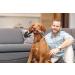 Trixie Be Nordic Plush Toys for Dogs | Maritime Cuddly Toy - Robust Durable Plush | Ideal for Play & Cuddle - 36063 - Buy Online on GoSupps.com