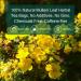 Mullein Leaf Tea Bags - Lung Cleanse & Respiratory Support | Caffeine-Free Herbal Tea | 30 Bags - Buy Online on GoSupps.com