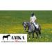 AMKA Hackamore Bitless Leather Bridle - 3-Way Adjustable with Baroque Straps for Optimal Comfort - International Shipping Available - Buy Online on GoSupps.com