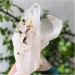 Natural Crystal Rough 1PC Natural Clear Crystal Cluster (Size : 250-300g) - Buy Online on GoSupps.com