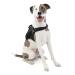 Kurgo RSG Townie Dog Harness Easy to Put on and Take Off Adjustable Chest and Belly Straps Size M Black Townie Black M