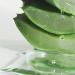 Aloe Vera Gel aloe vera gel Aloe Vera Gel for Face Aloe Vera Gel Moisturizing Face Hair Aloe vera gel for face vera for dry skin sunburn soothing and moisturizing (2) - Buy Online on GoSupps.com